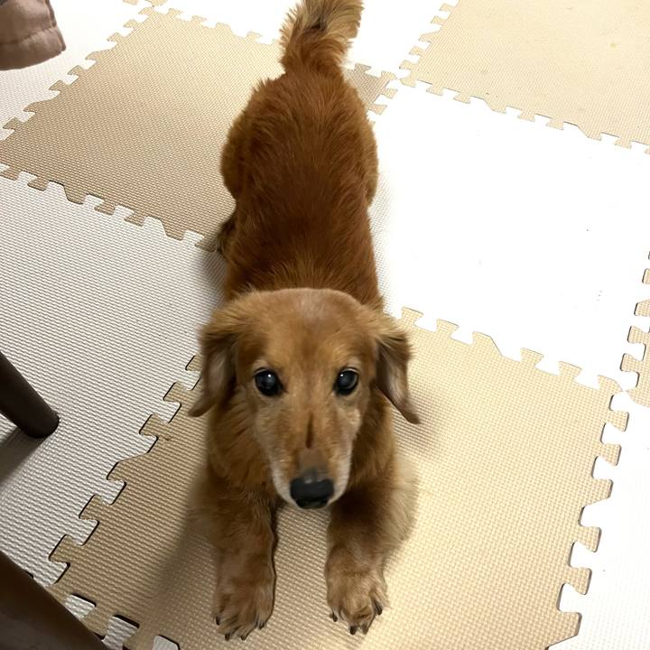 239d07f0 7875 421d 9b73 23d6c850b07a 1644842452029