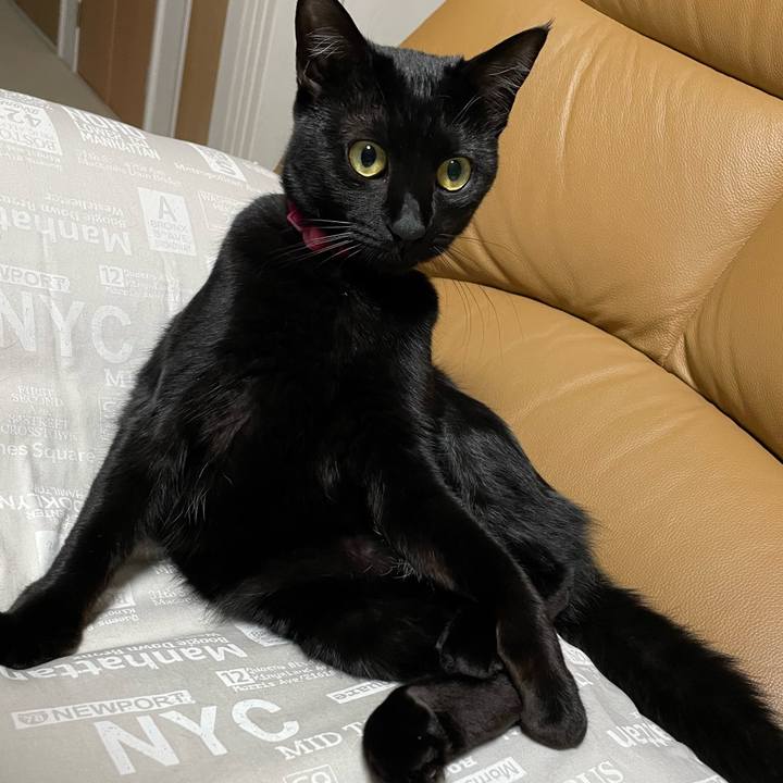 239d449f 0928 414d 85ac bf154e26dd9d 1693461052906