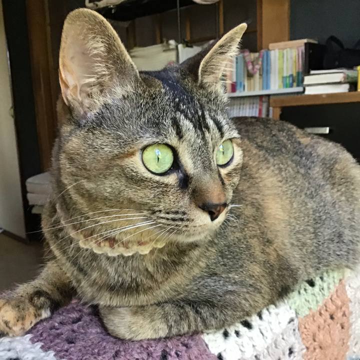 239d529d 03ab 4288 86d6 ffcac0371aff 1653727294938