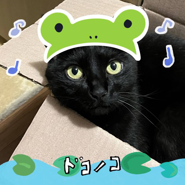 239d8546 c597 4717 bcc5 d175f3f8090b 1717642336111