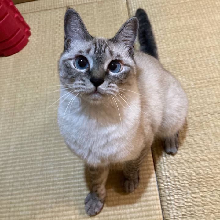 239d990e 62b9 443e 97bd b2f72a001c55 1597747690148