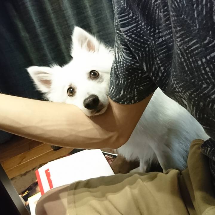 239da07c cea2 41e7 8a4b 4077d6cc2340 1528634844487