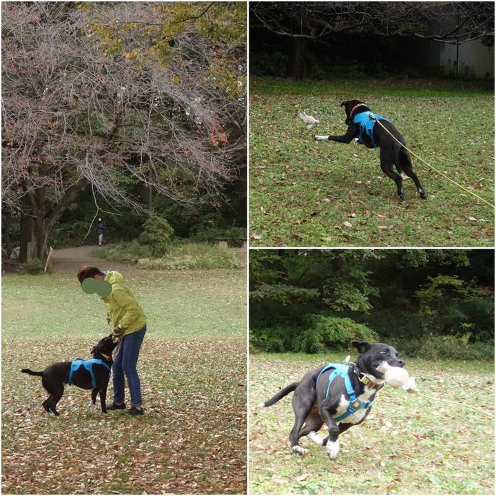 239da208 aa38 450c a233 4d1c272a0a02 1605138622970