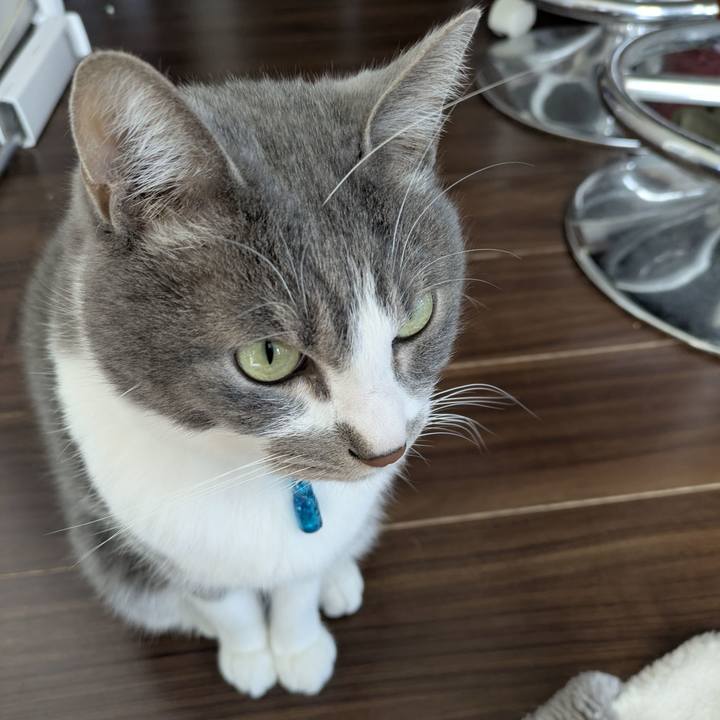 239dc43a a0c7 4ab8 9e7c dfa43f9f7f0f 1767840393091