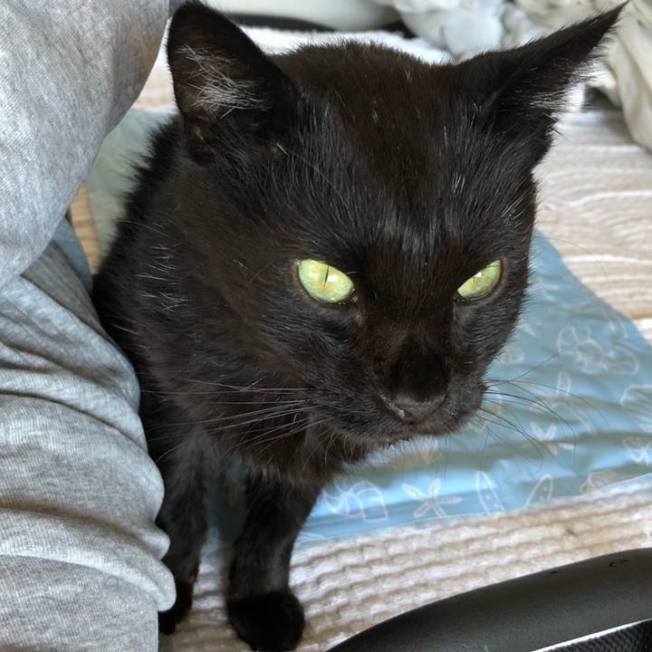 239dc609 2df7 48d5 a528 85a31cd8bd0a 1650013731800