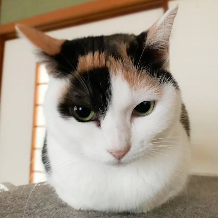 239ddd21 ee5f 4b78 8ed2 8d4a1974f7f4 1579310805242