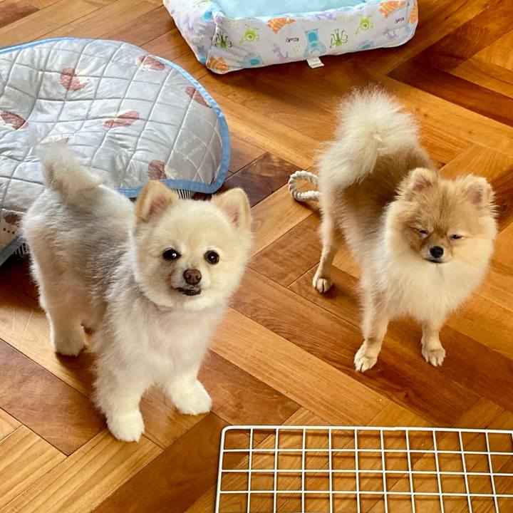 239de6dd a995 4e12 b119 cb6c1436e279 1660863558695