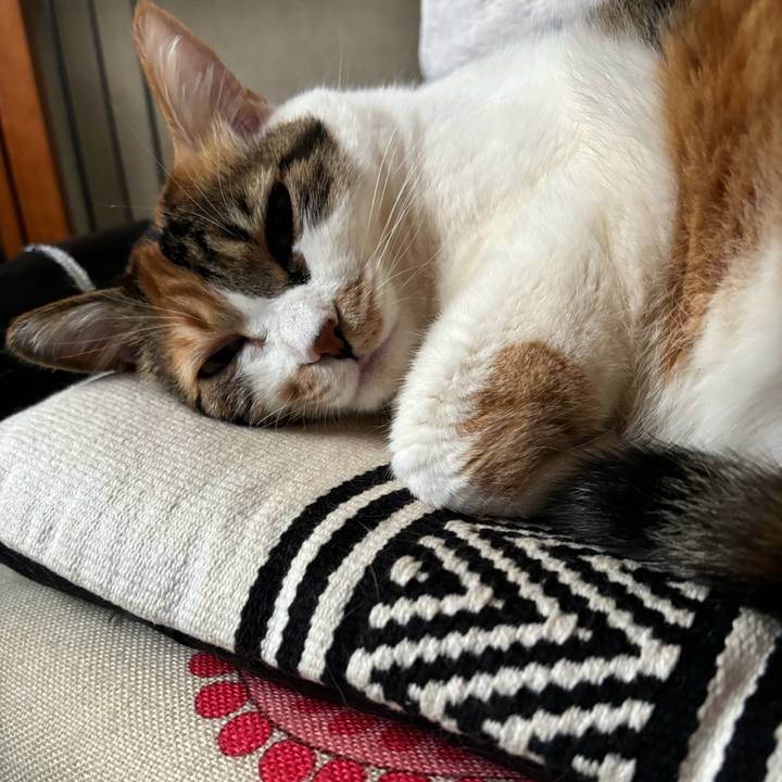 239df191 4eac 4fff 82b5 71c6b902498b 1719109893580