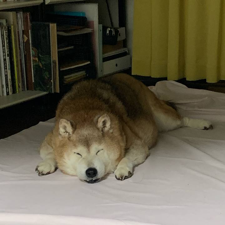 239e4c94 ca29 494b aeb2 ff6acf225d79 1670409317929