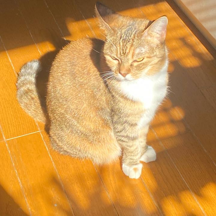 239e7351 f801 4e6c be2e 4aa95a6410fc 1636079307152