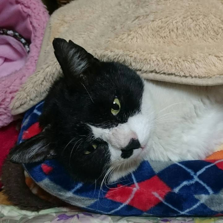 239edaa5 b1fa 4d1f 947d 8f4612895b0a 1518442279902