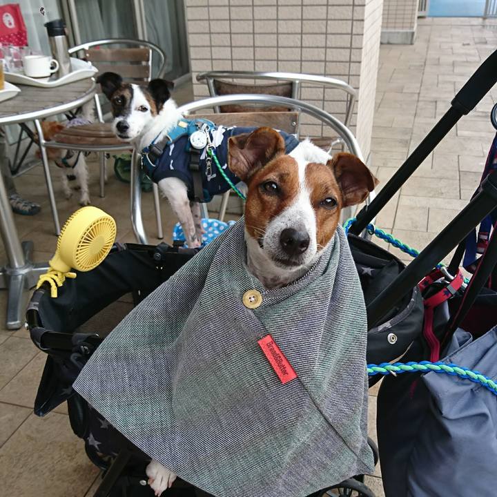 239ee352 5b1a 425e ae36 4f65f3dd279e 1598509710199