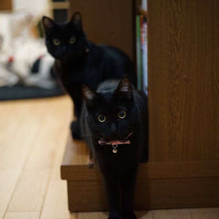 239eed28 51da 4ff8 bf1e 745322661291 1518045746095