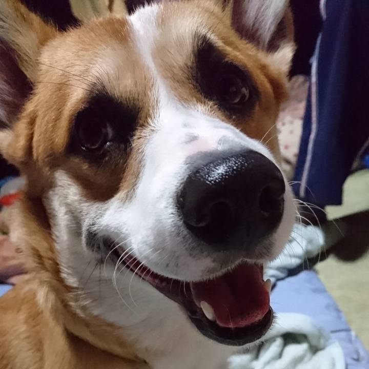 239ef58e 0bec 4d57 9073 93d6f9a22396 1576013080723