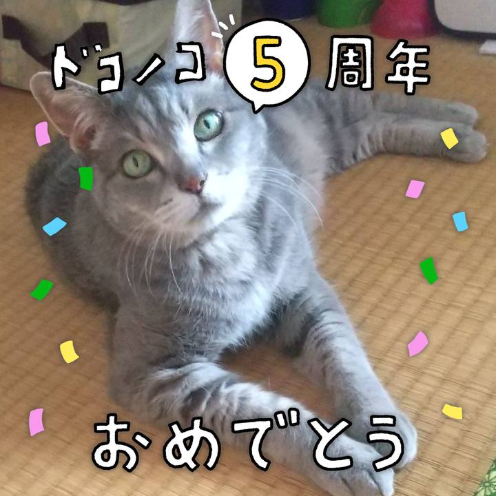 239ef66c 096e 4321 9a96 04ce887af02b 1622885079139