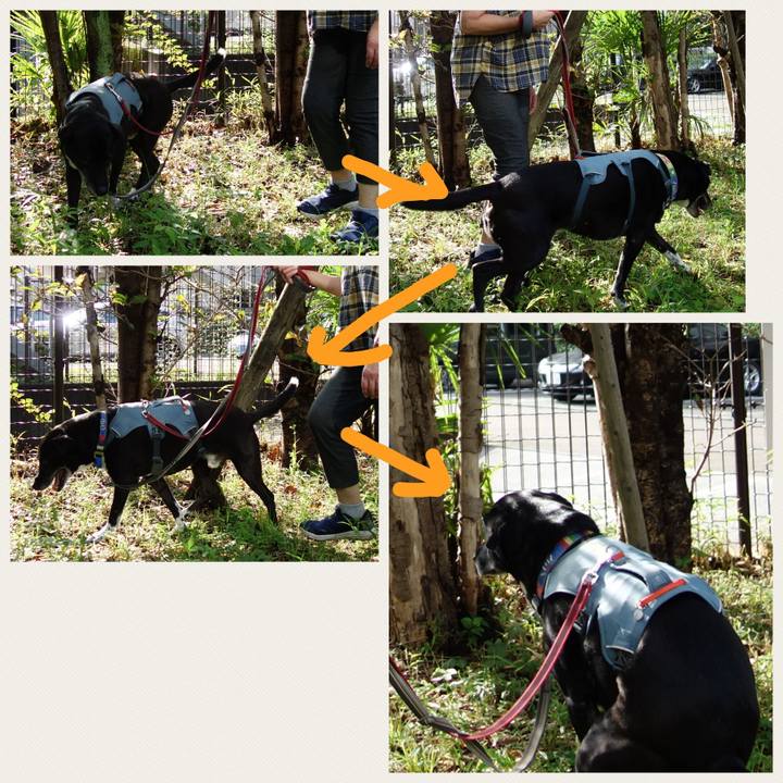 239eff08 b844 4cfa 967e 167a2088d8c4 1720828779010