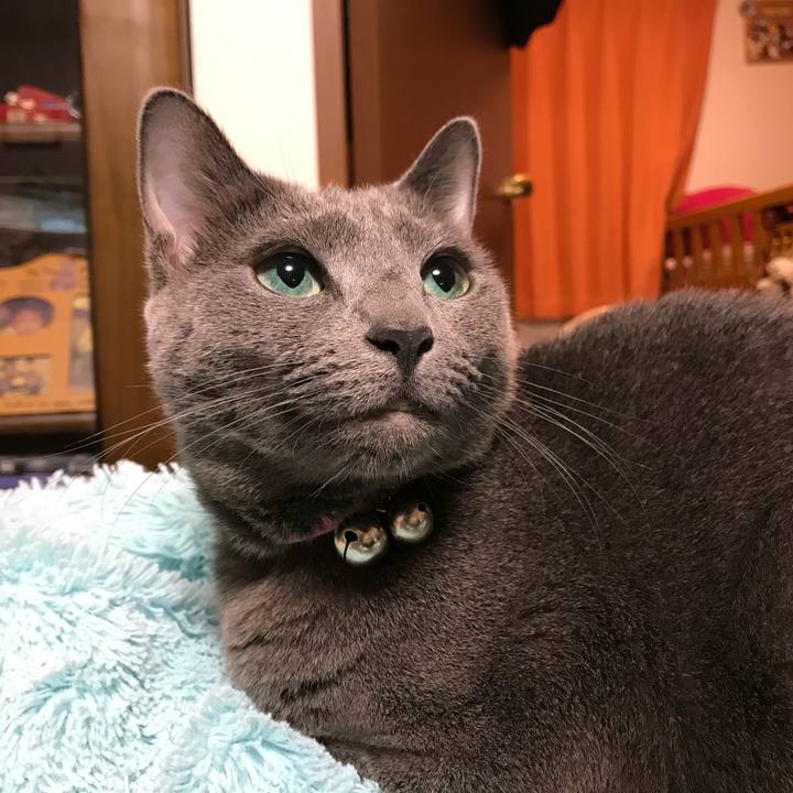 239f2bcf 42ce 469c 9904 c9c83f3359f4 1508250091236