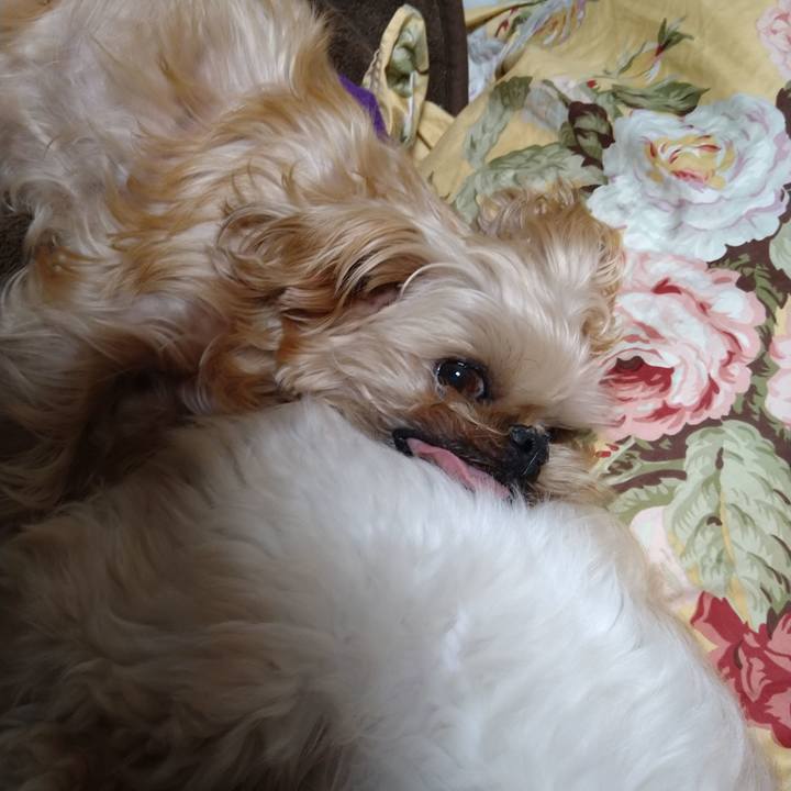 239f2bf6 81ea 4804 8c5b e9562b05b427 1607170071242