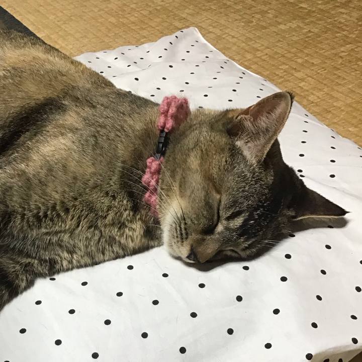 239f5bcb 9382 4671 9d9c 1eb010302b12 1589277855304