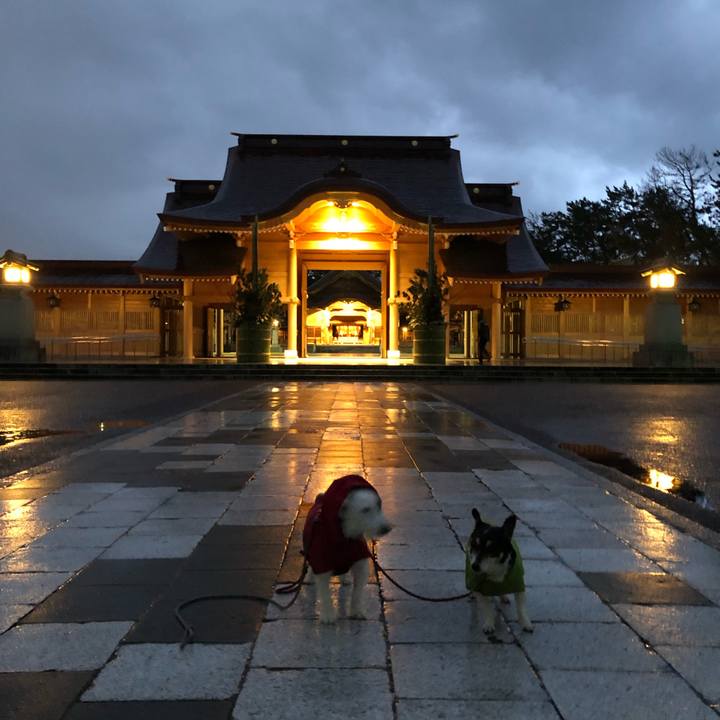 239faa91 78ed 4b64 b333 75a536edef13 1578956268389