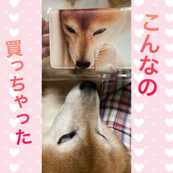 239fc8df b9f8 4fdc a683 524f42ce3efb 1693137961641