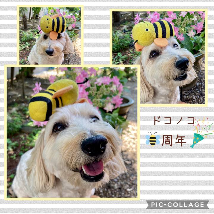 239fd1fb ba38 427b bfe8 8e47072a8da6 1717737853012