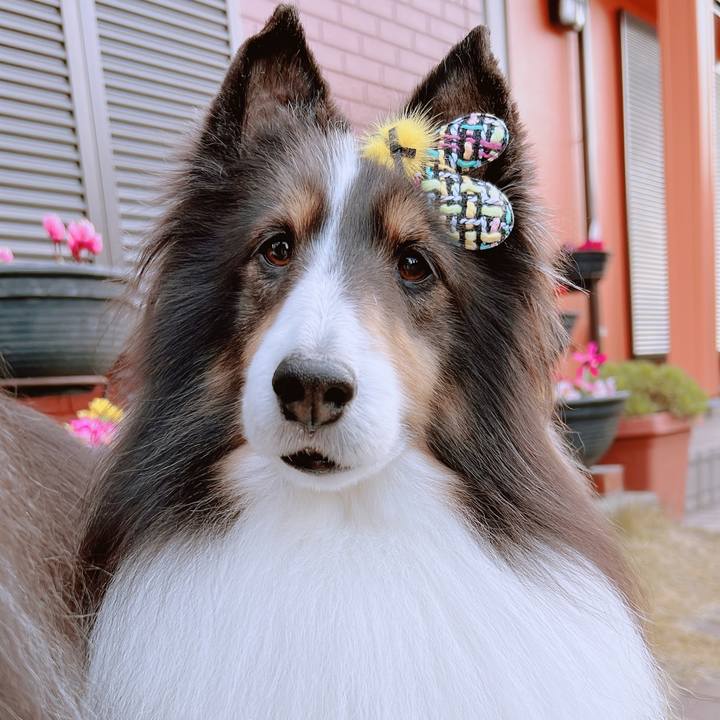 239fe25f afda 4749 828d 89ecd93e3dfa 1641405478526