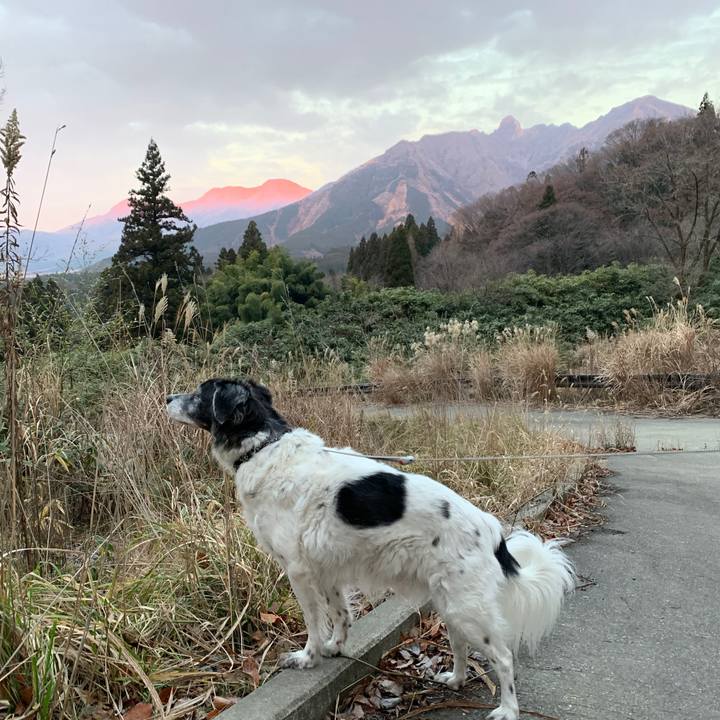 239ff0b3 5689 482c a383 eda901bd2ac2 1577626291582