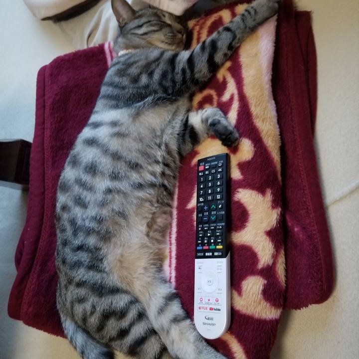 239ff411 af2d 49ed 864f 69625ea784d5 1684419801941