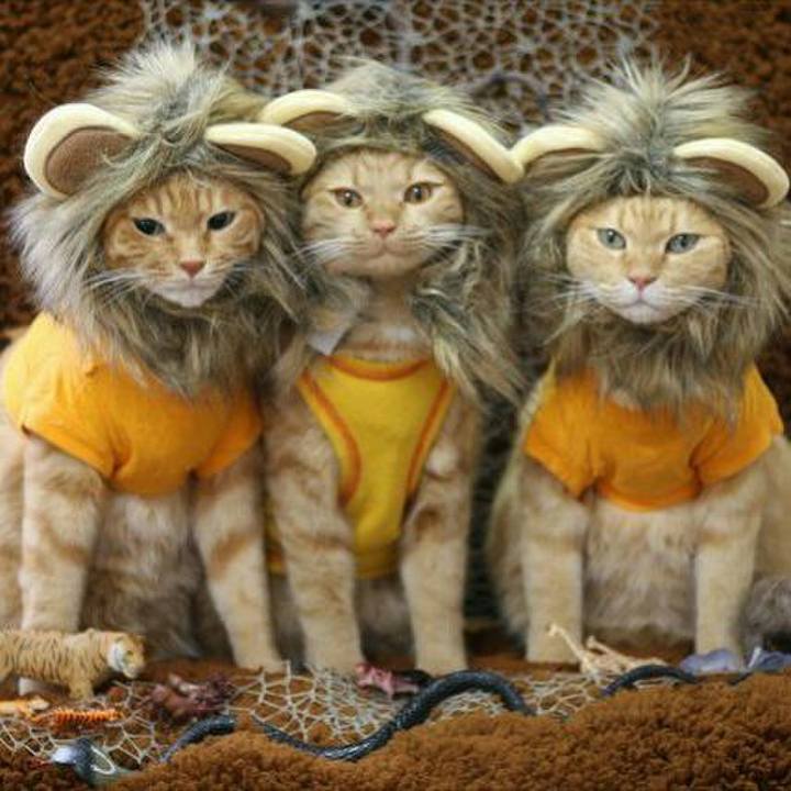 23a0544a b2b6 4dbc b400 644872e36b25 1566200163930