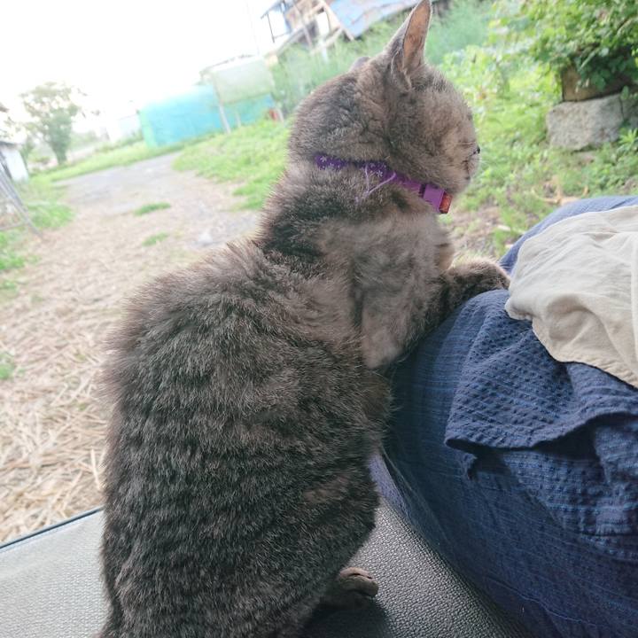 23a05b09 0729 4aaf 861c 4843234a926f 1593721309068