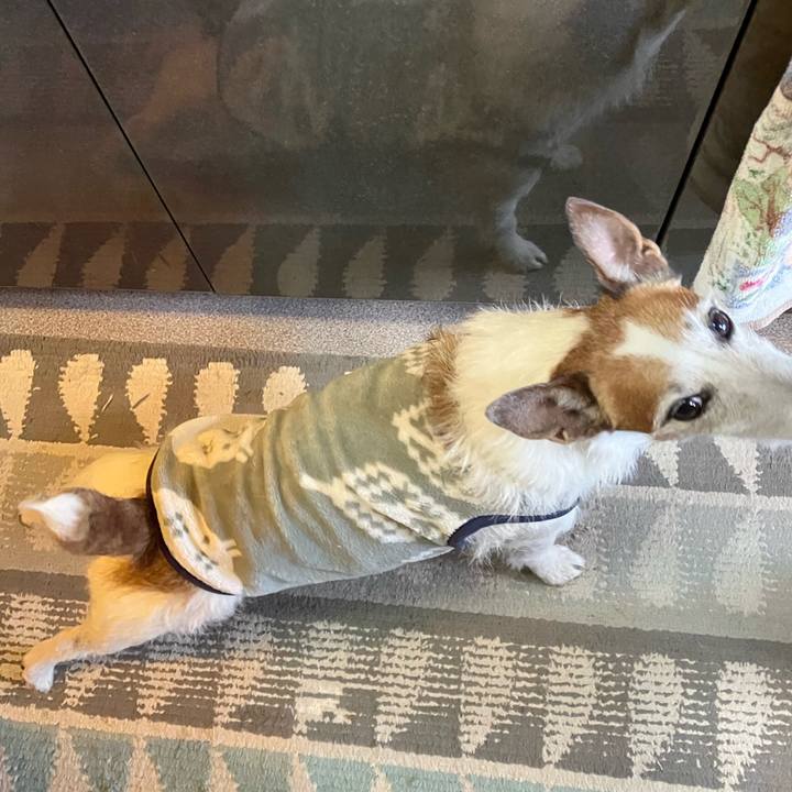 23a08615 c59a 43e7 a79a 6ca46bb632b6 1677023028060