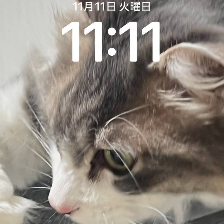 23a0d659 906d 4cae ae83 271f18963e24 1762827190521