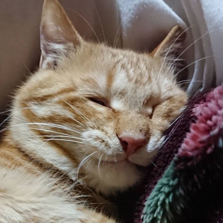 23a10481 8d5f 4231 bd38 251720c6e27e 1643027915232