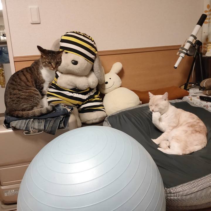 23a105f3 7e9c 48fd a596 f65e98e27b1f 1667648007821