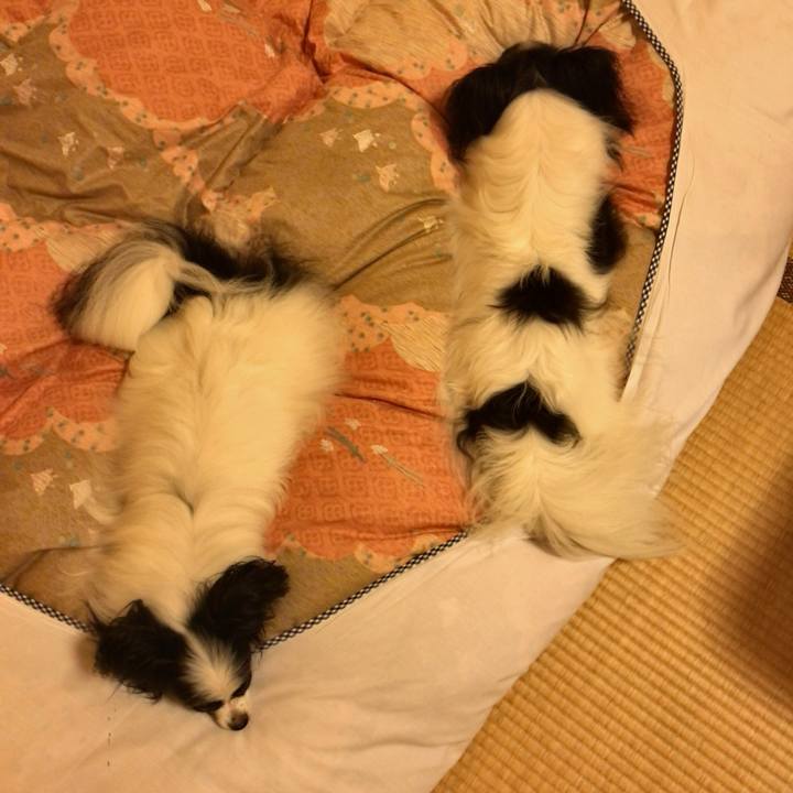 23a15542 0c63 4999 896c 601d91b88a6e 1535189067257