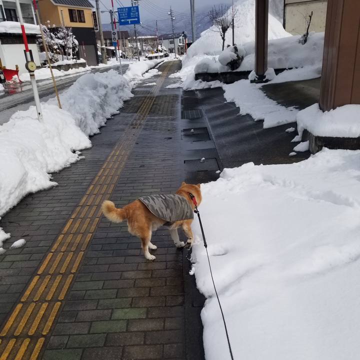 23a16531 4d02 4df4 a649 2d47326015fd 1738812573370