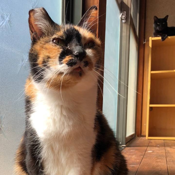 23a17c0e 7c81 4d36 812e dc65443743fc 1615425893682