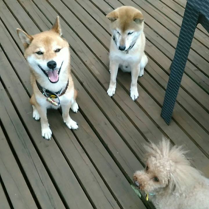 23a1810e 5836 4a3f a11f 04f531fa54b2 1566207051222