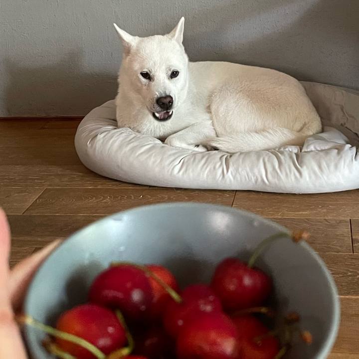 23a1c688 b652 489b 9a12 4c2bf9422720 1657188089120