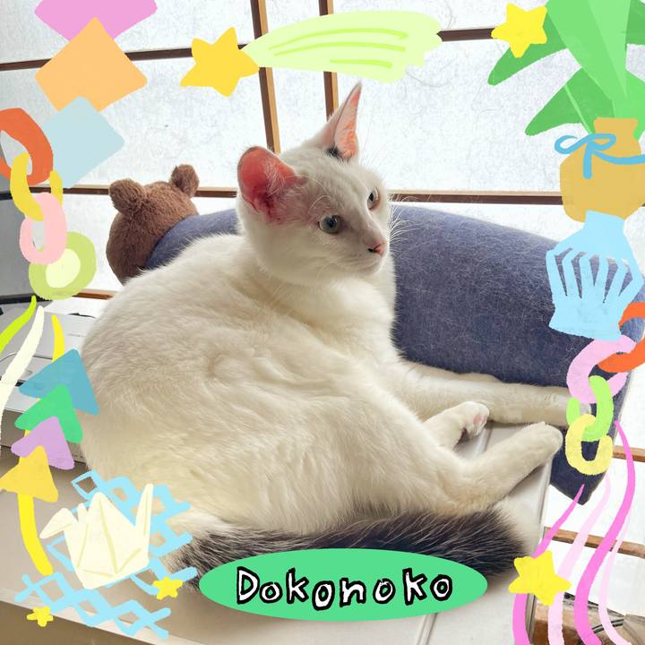 23a23ddb aaf5 43c7 aa43 252be9161b46 1755318440382