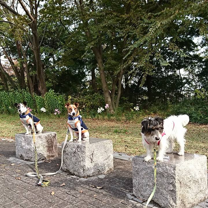 23a26221 48fd 4390 a947 3875b85af0d5 1542541663221