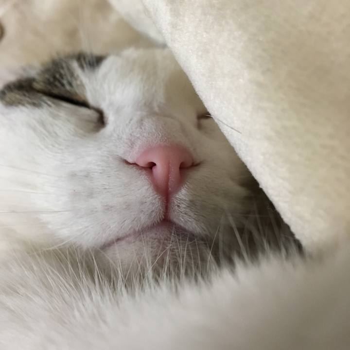 23a27fdb 61f9 4871 a84b a41400f7fc94 1514287068920