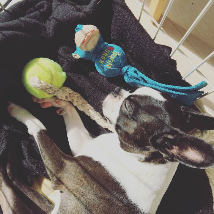 23a2b2cd 167c 4c94 9d61 c1e0af46fd73 1516931214985