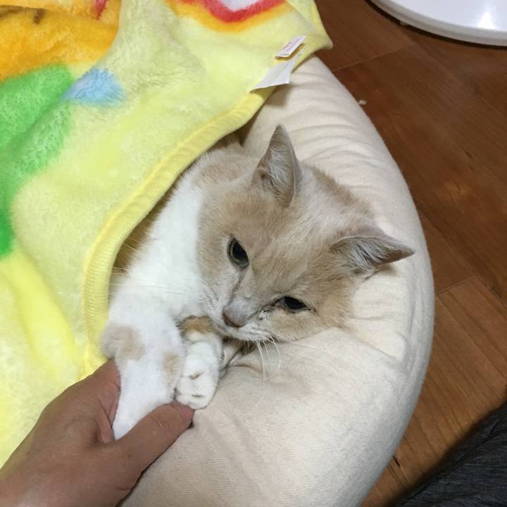 23a2d0b8 36f6 491b ac0d 371cf4d8b35f 1563027874358