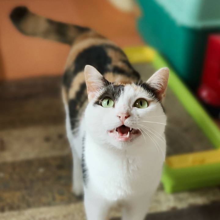 23a2e0ad 7308 4d5f a23c 7ad135598226 1598762105976