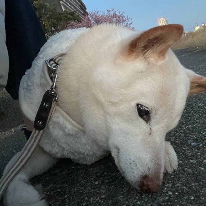 23a31297 d66e 4634 b29e 8c6e4daa79f3 1646565238709