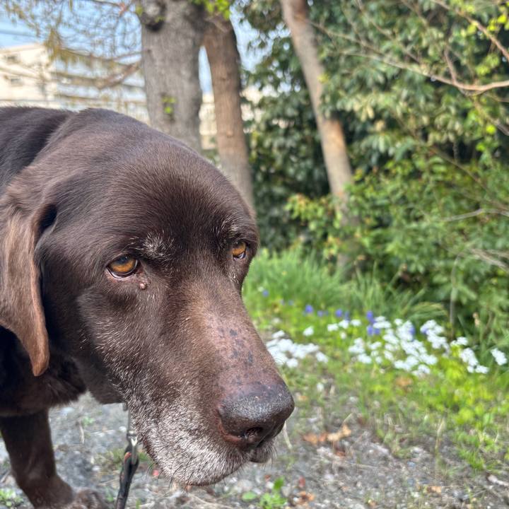 23a32ab1 73f0 4dde be26 b6170d72a6ec 1774698477642