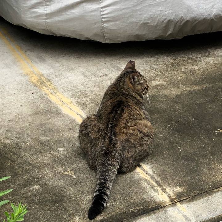 23a34e3e a5ac 4e15 954e c2ca5e3af3de 1531349010077