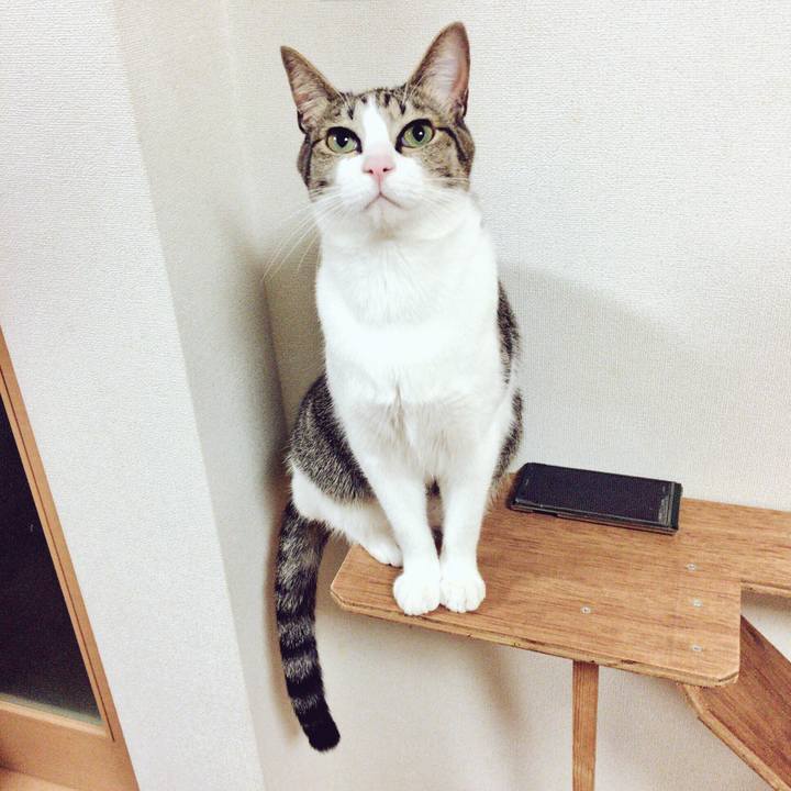 23a36656 20f5 4b1c 8649 dffbb324ab15 1514125384896